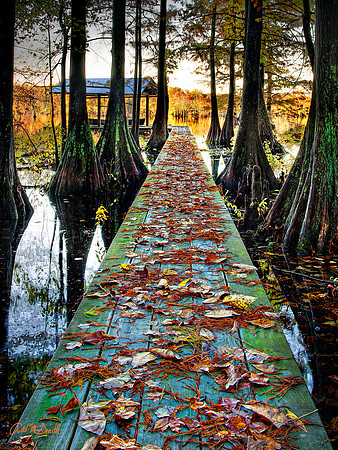 Lake Dock in fall color
