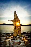 Sun burst stump