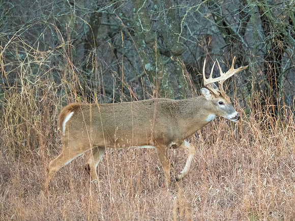 DSC_1295