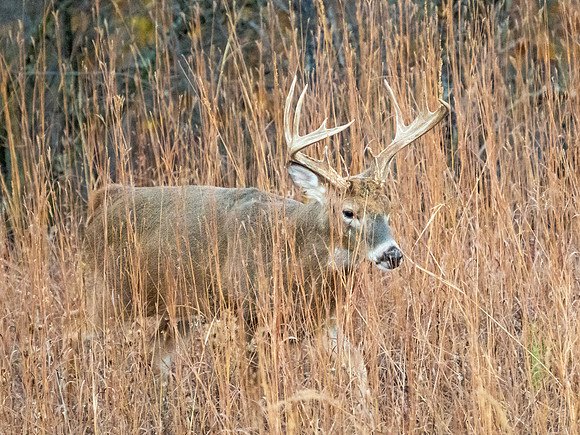 DSC_1316