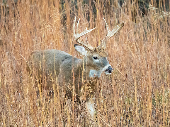 DSC_1326