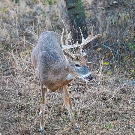 DSC_1346