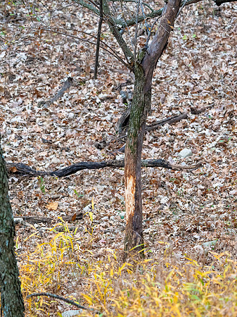DSC_1814