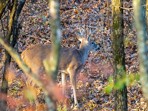 DSC_1912