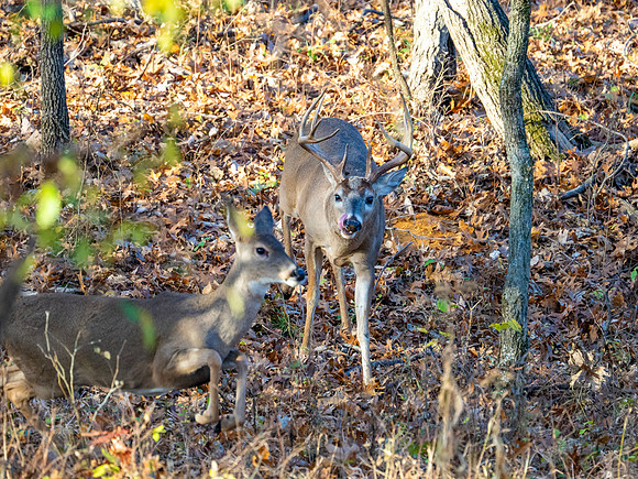 DSC_1962