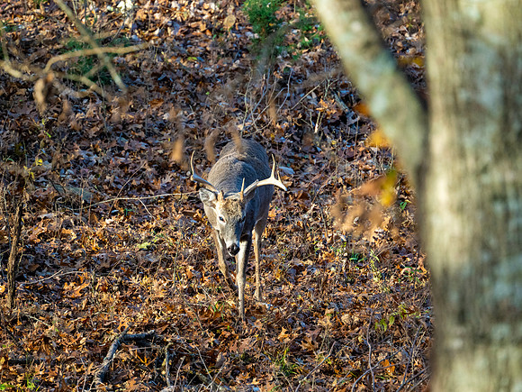DSC_2031