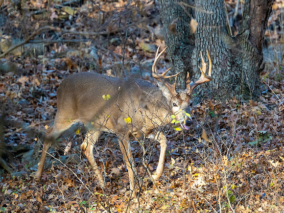 DSC_2045