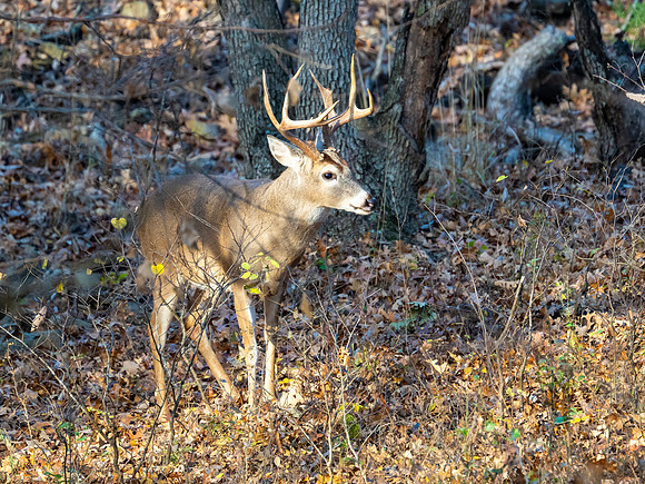 DSC_2054