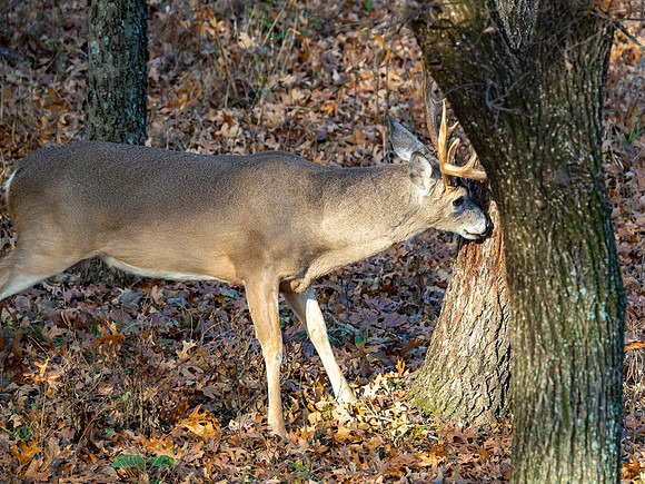 DSC_2105