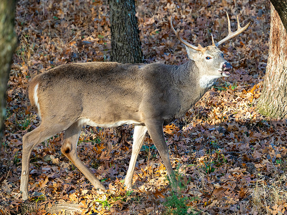 DSC_2099