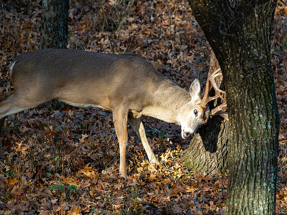 DSC_2108