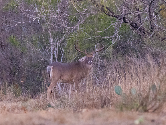 DSCF1756