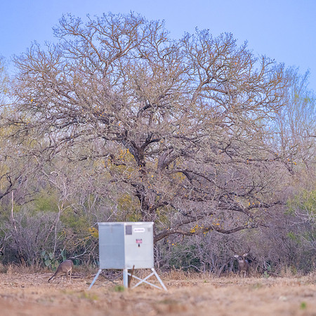 DSCF1749