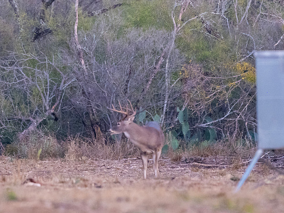DSCF1754