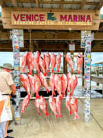 Venice LA. Fishing 6-01-26