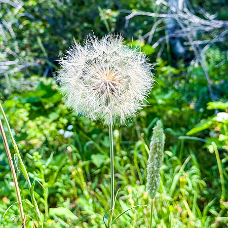 IMG_2069