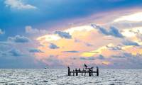 9-07-26 Venice LA fishing