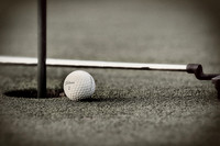 golf ball shot 12 x 8 .jpg
