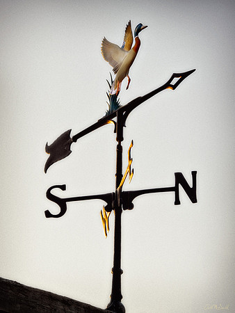 weather vane