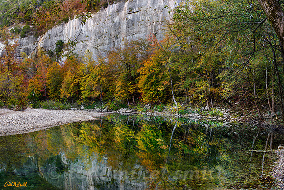 Buffalo bank fall-Pano
