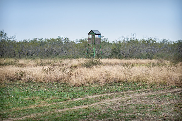 _DSC8736