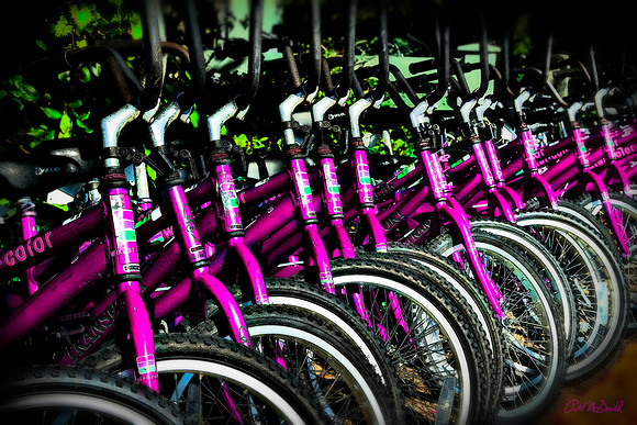Pick a pink bike