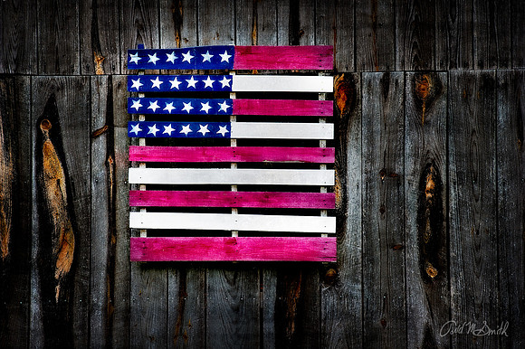 US palate flag