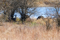 DSCF0679