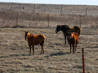 DSCF0417