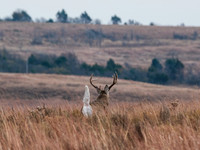 DSCF0669