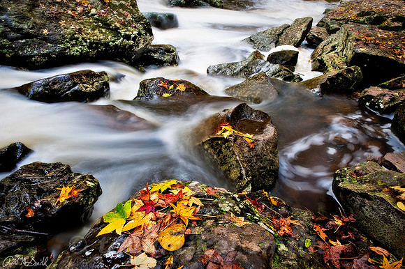 Macro falls.jpg