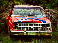 The Dying South