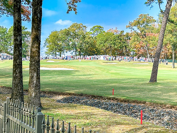 IMG_7298
