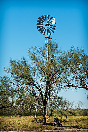 _DSC8978