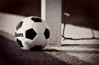 soccerball 18 x 12 .jpg