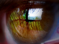 Eye of the ozark 2