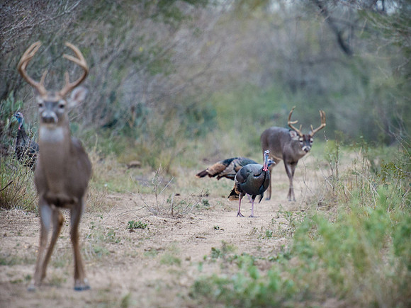 _DSC8865