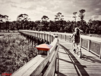 Bridge cap bw
