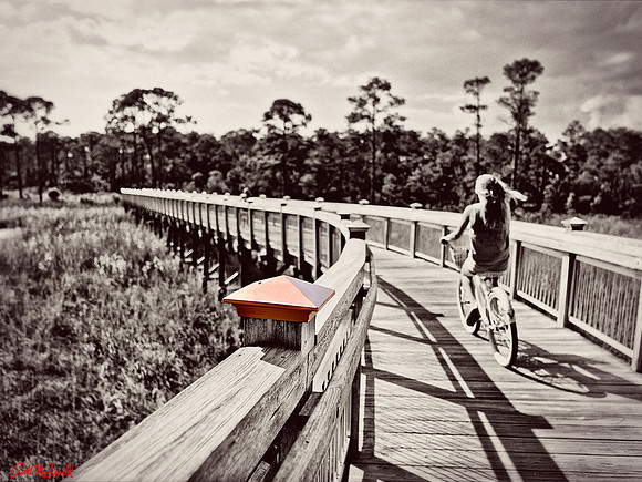 Bridge cap bw