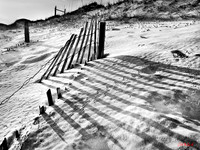 Dune fence shadows