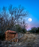 ground blind by moonlight