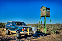 Bronco